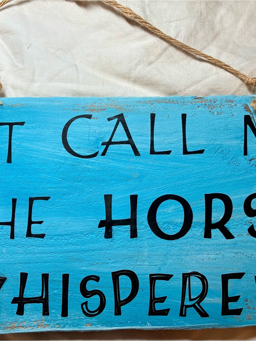 Turquoise Blue Rustic Wood Wall Sign - Just Call me the Horse Whisperer-handmade